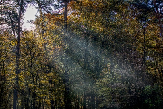 walk into the light 2